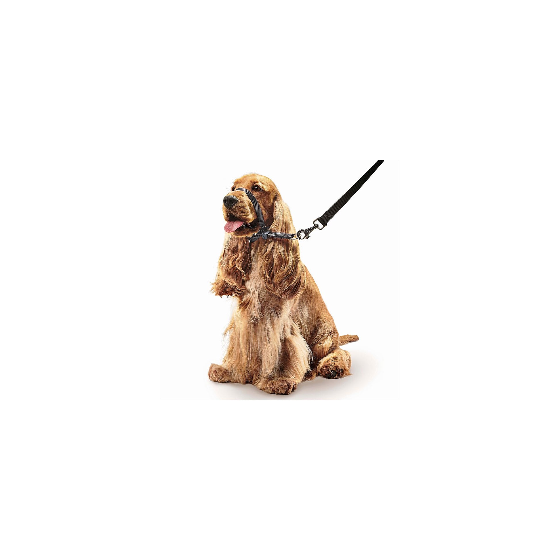 Product image for 13663