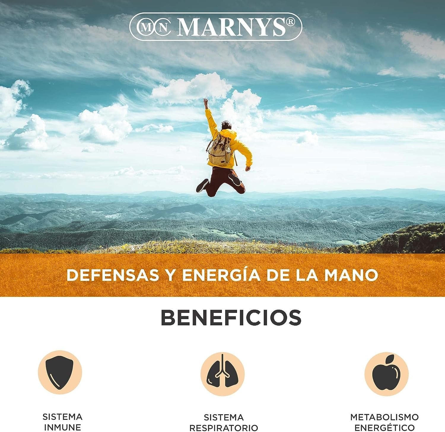 Marnys Propolvit 20 Viales-2