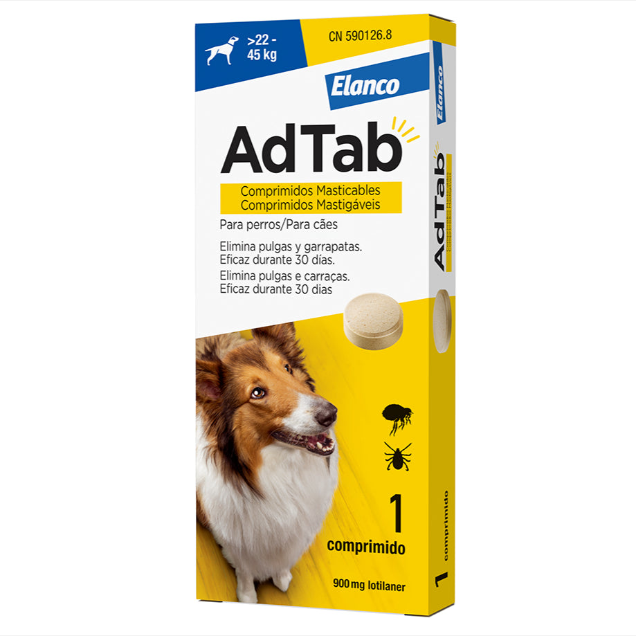 Product image for 19117