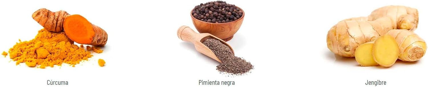 Novadiet Curcurina 30 Cápsulas-4