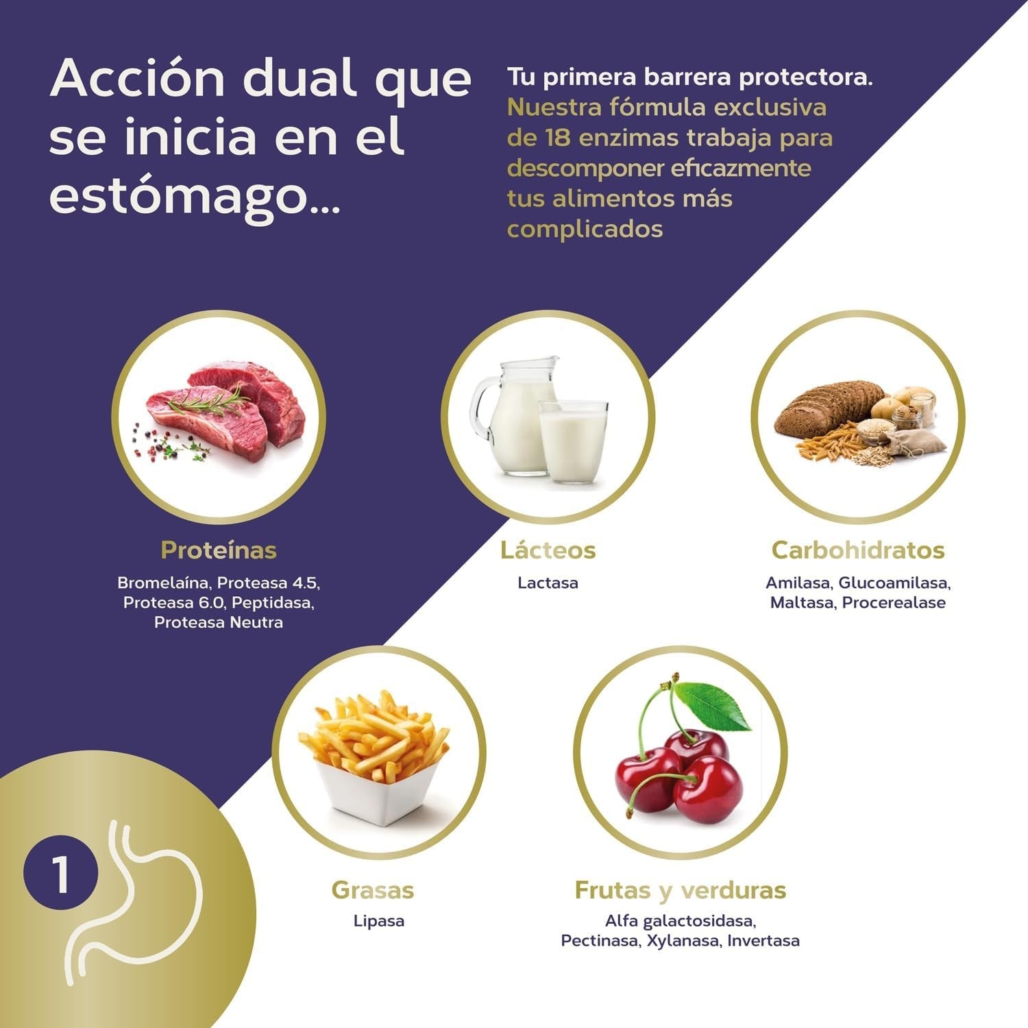 Tongil Estado Puro Maxi Enzimas Con Probioticos 40 Vcaps-4