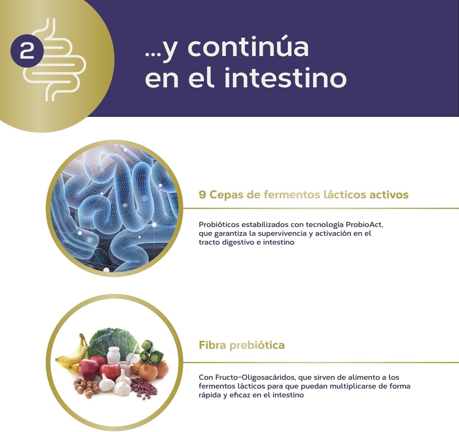 Tongil Estado Puro Maxi Enzimas Con Probioticos 40 Vcaps-5