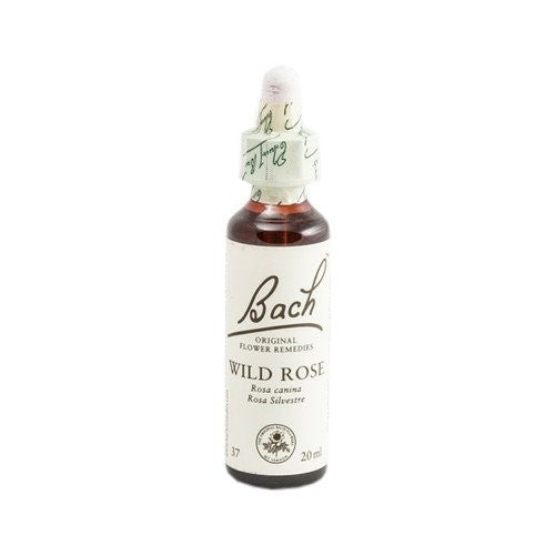 Bach Bach 37 Wild Rose 20 Ml ( Rosa Silvestre )-1