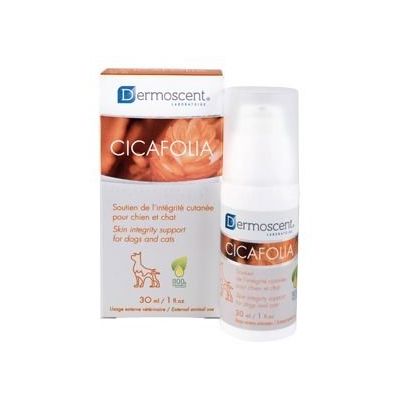 Product image for 10375