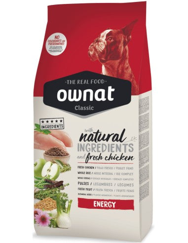Product image for 16736