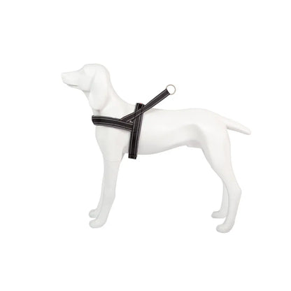 Product image for 16456