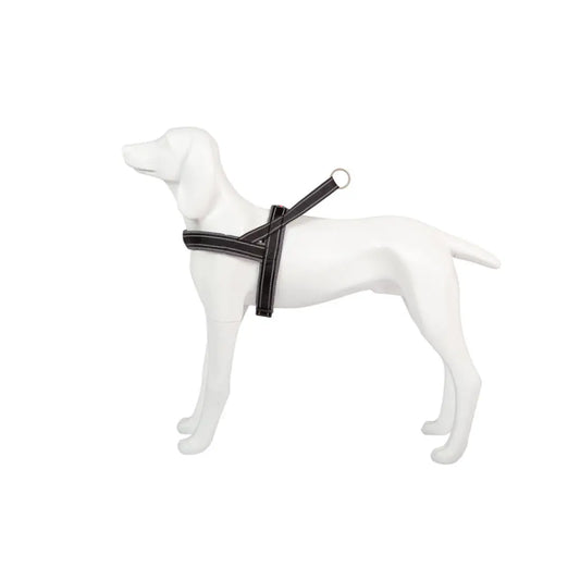 Product image for 16456