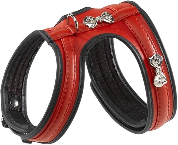 Product image for 14536