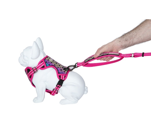 Product image for 11926