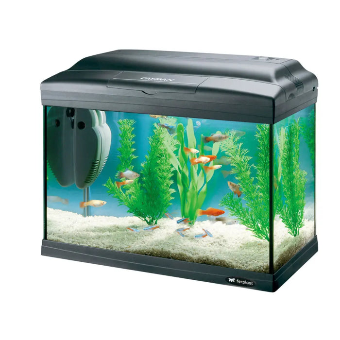 Product image for 15457