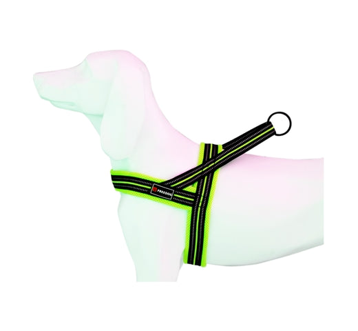 Product image for 15995