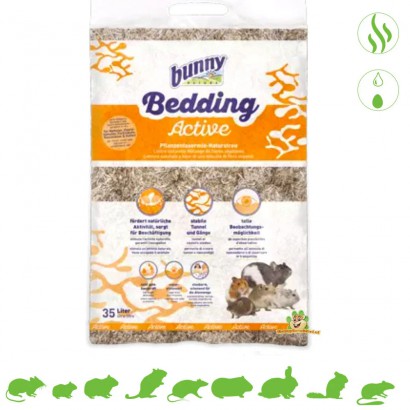 Product image for 10856