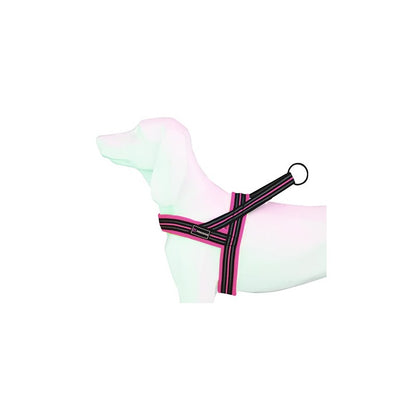 Product image for 16244