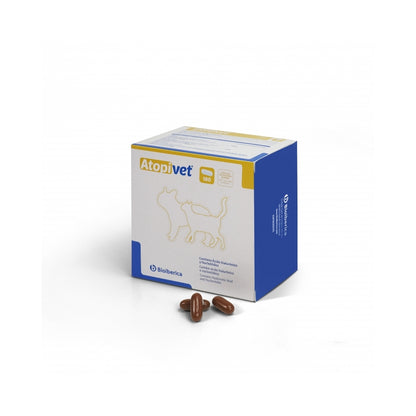 Product image for 8585