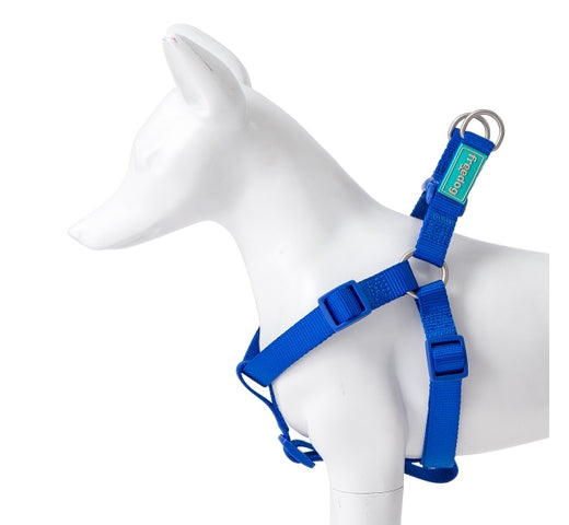 Product image for 15966