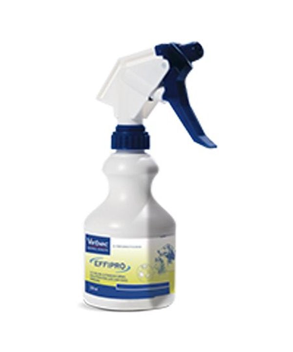 Product image for 19615