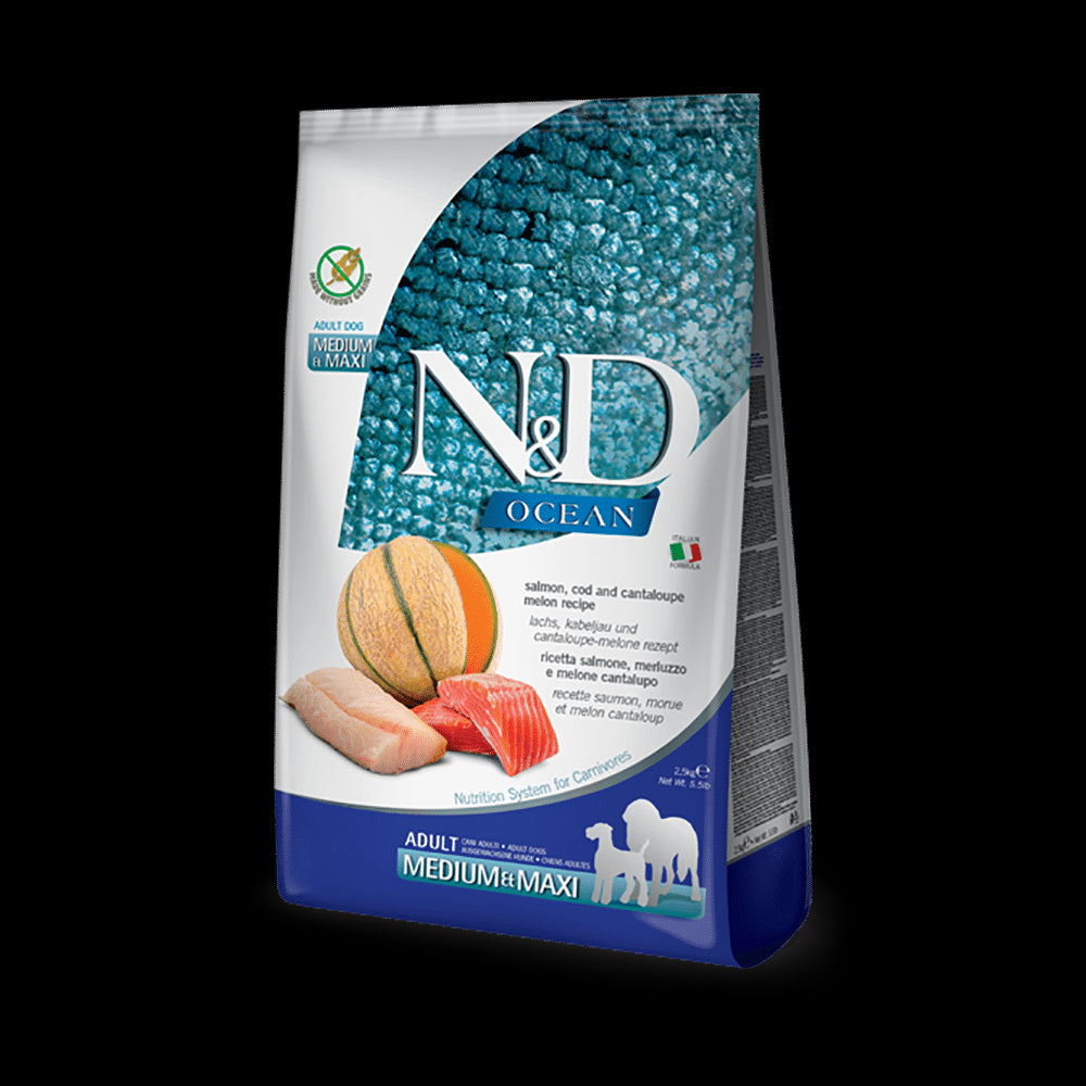 Product image for 13960
