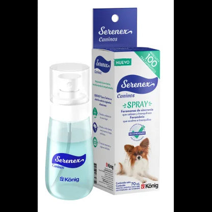 Product image for 16601