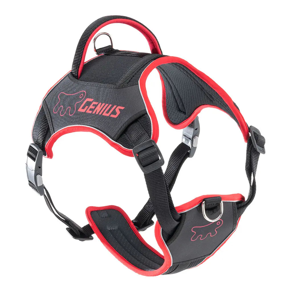 Product image for 15771