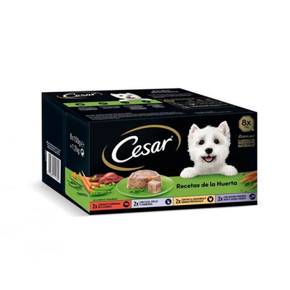 Product image for 13783