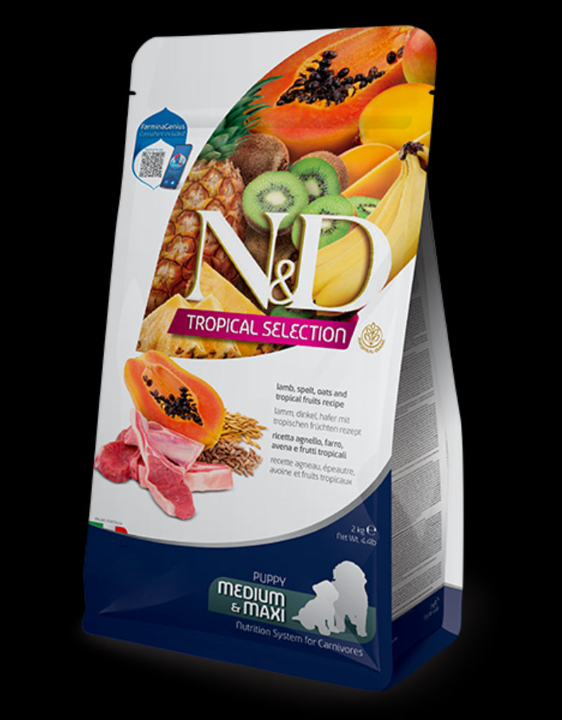 Product image for 13908