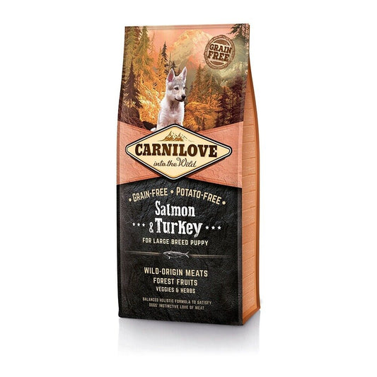 Product image for 13776