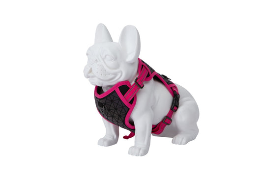 Product image for 16113