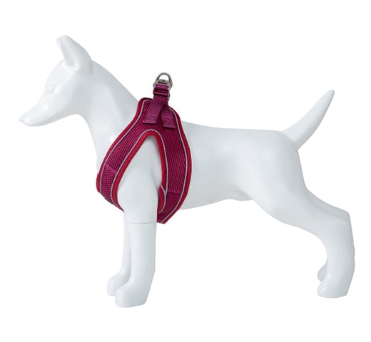 Product image for 15994