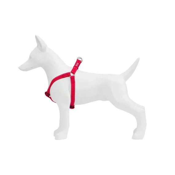 Product image for 16088