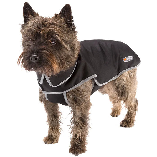 Product image for 15777