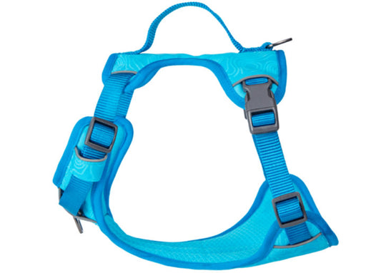 Product image for 15917