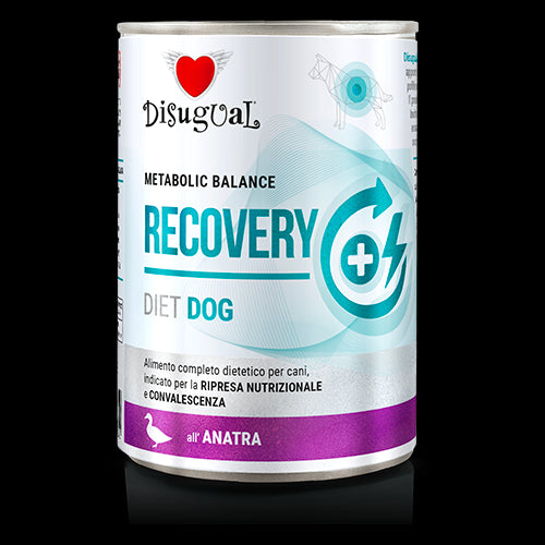 Product image for 11642