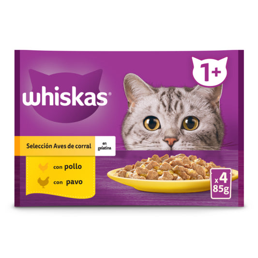 Product image for 11762