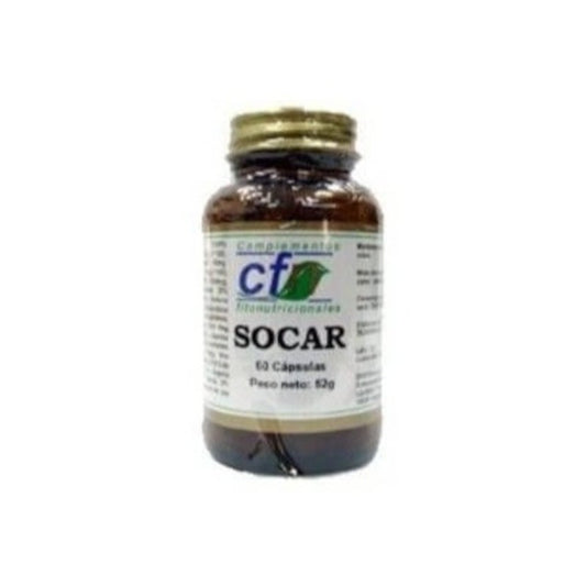 Cfn Socir 60 Capsulas-1