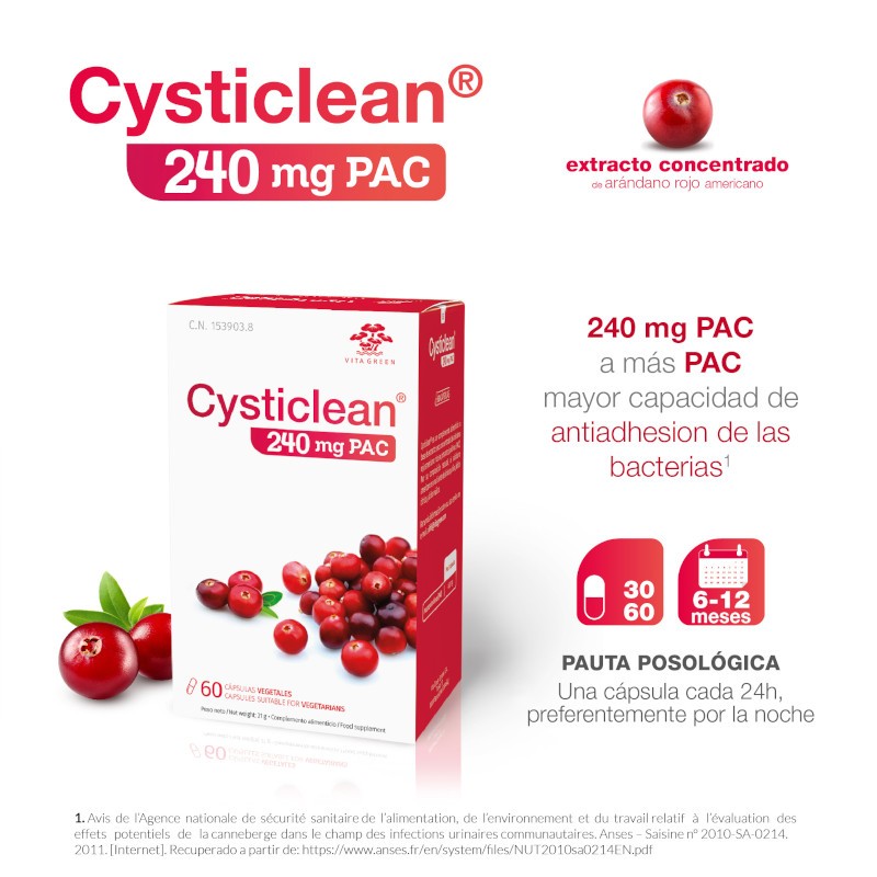 CYSTICLEAN 240mg PAC 60 Cápsulas-2