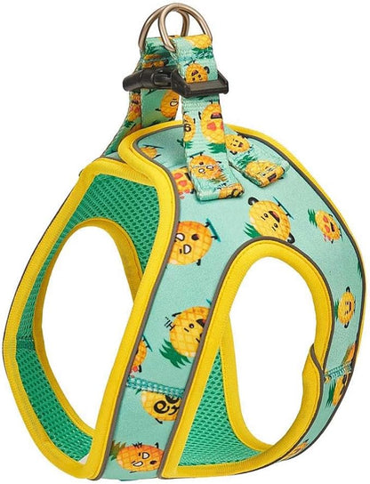 Product image for 11947