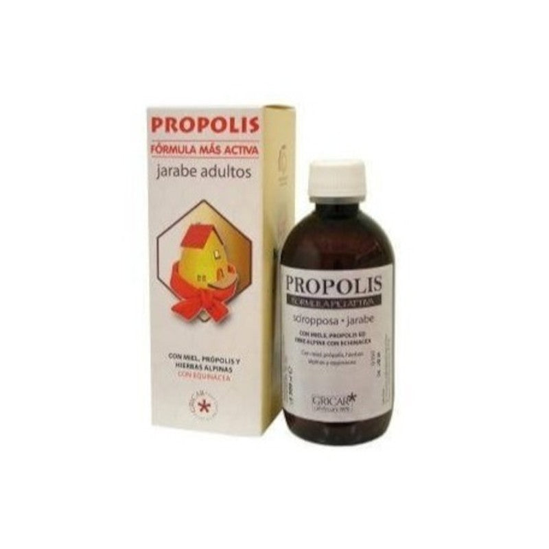 Gricar Própolis Jarabe 200 ml-1