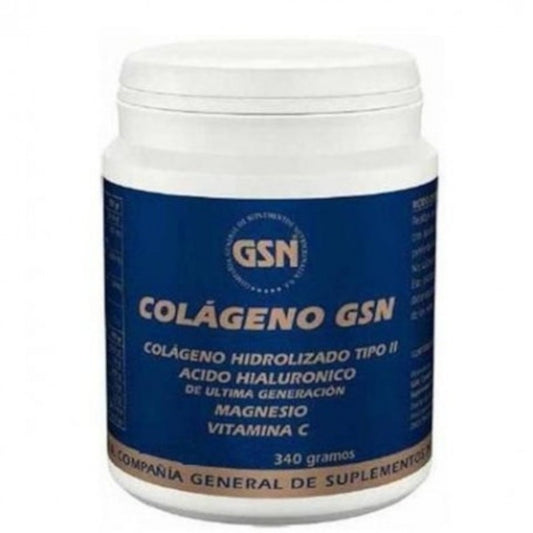 Gsn Colágeno con Ácido Hialurónico Naranja 340 g-1