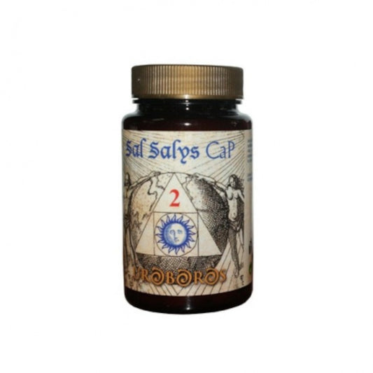 Jellybell Sal Salys-90 02 CAP 90 Comprimidos-1