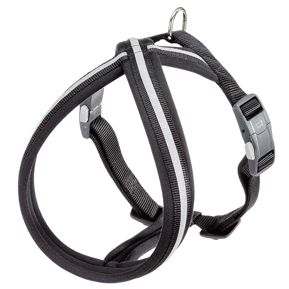 Product image for 15187