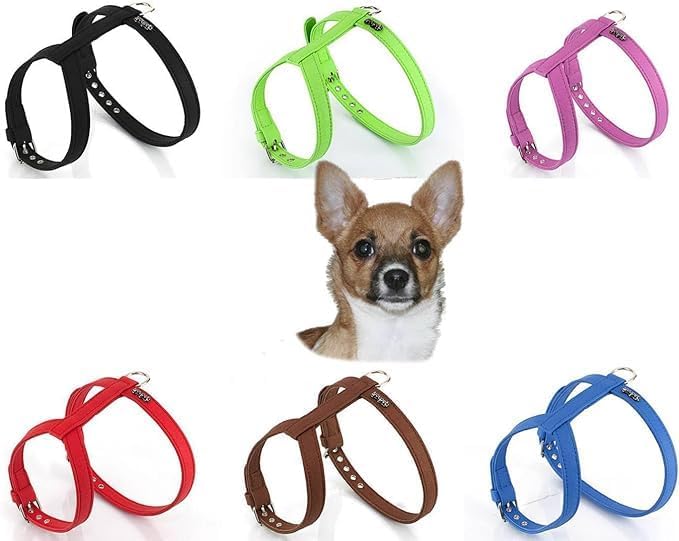 Product image for 17649