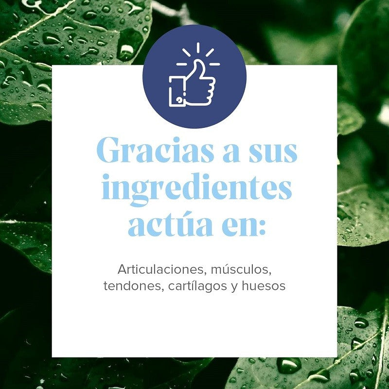 ARKOFLEX Colágeno DolExpert sabor Naranja Duplo 2x390g-6