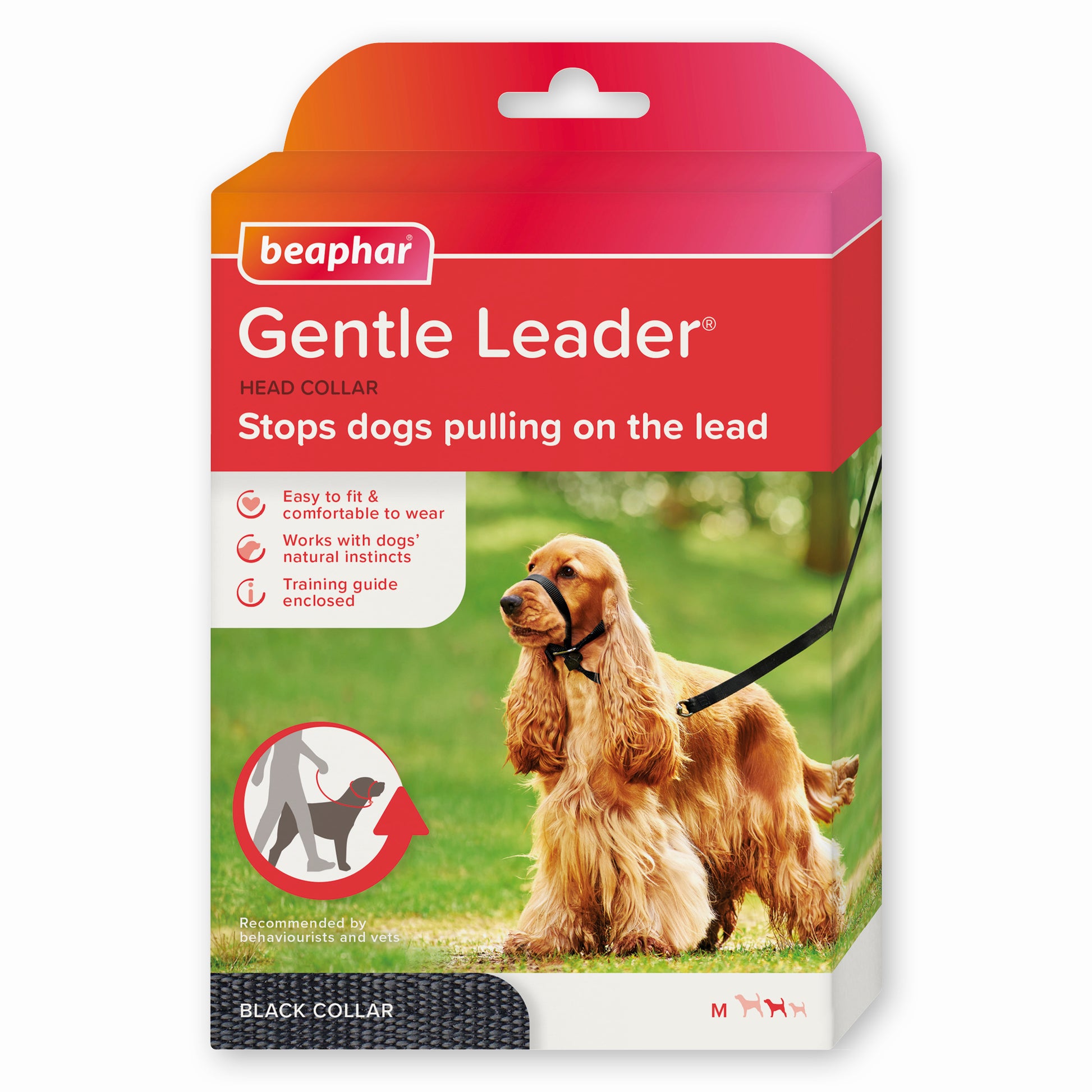 Product image for 13664