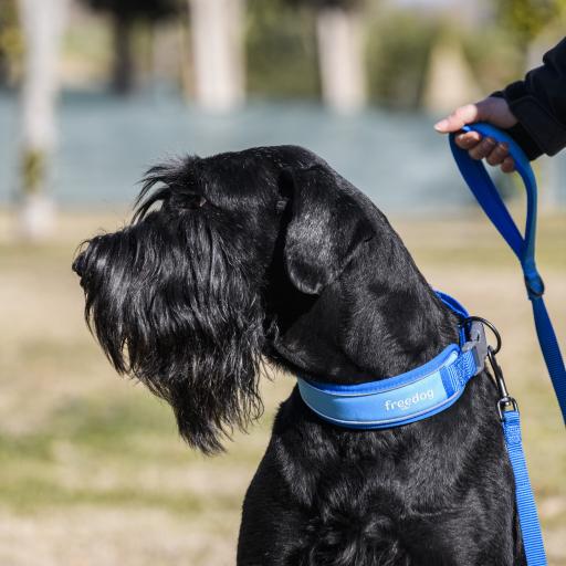 Product image for 15976