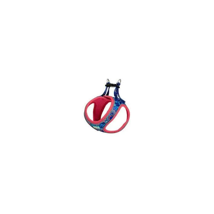 Product image for 15855