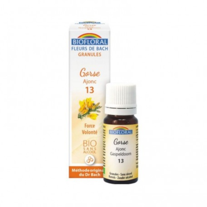 Biofloral Gorse - Aulaga 13 (Fuerza y Voluntad) Flores de Bach Bio Gránulos Sin Alcohol 9 g-1