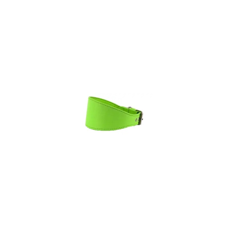Product image for 17362
