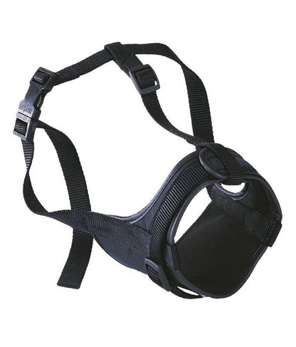 Product image for 14145