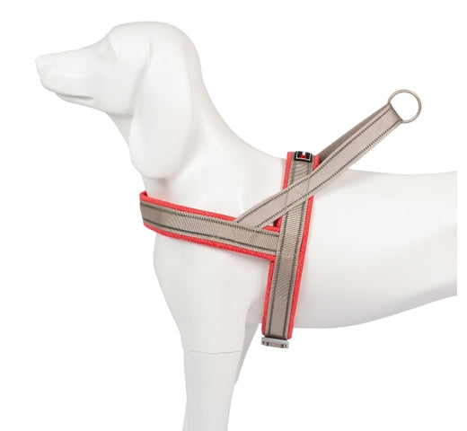 Product image for 11875