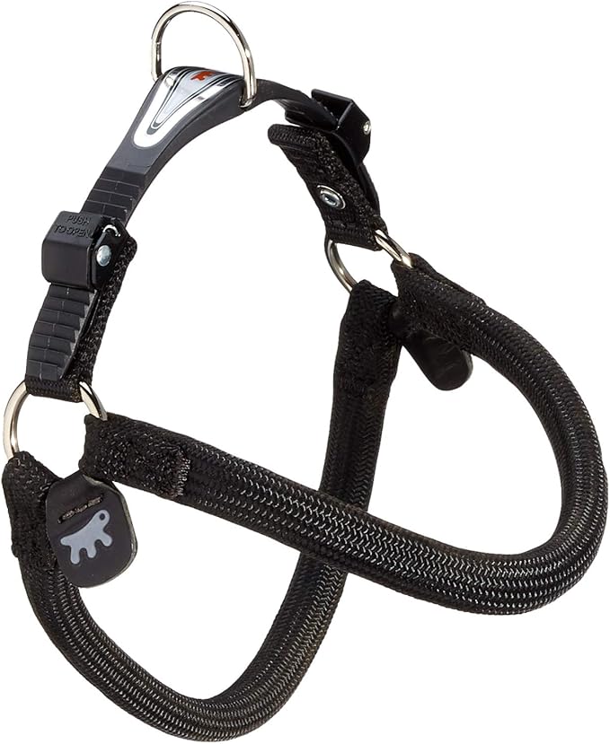 Product image for 14737